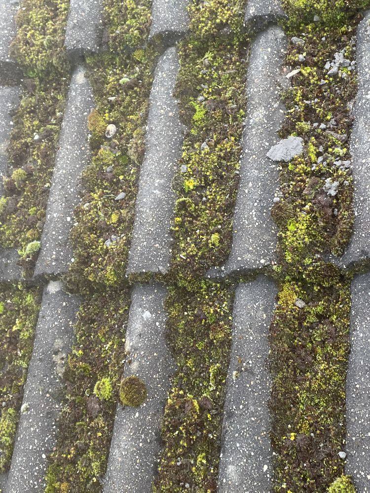 Roof before cleaning by Select Roofing Services, Merseyside