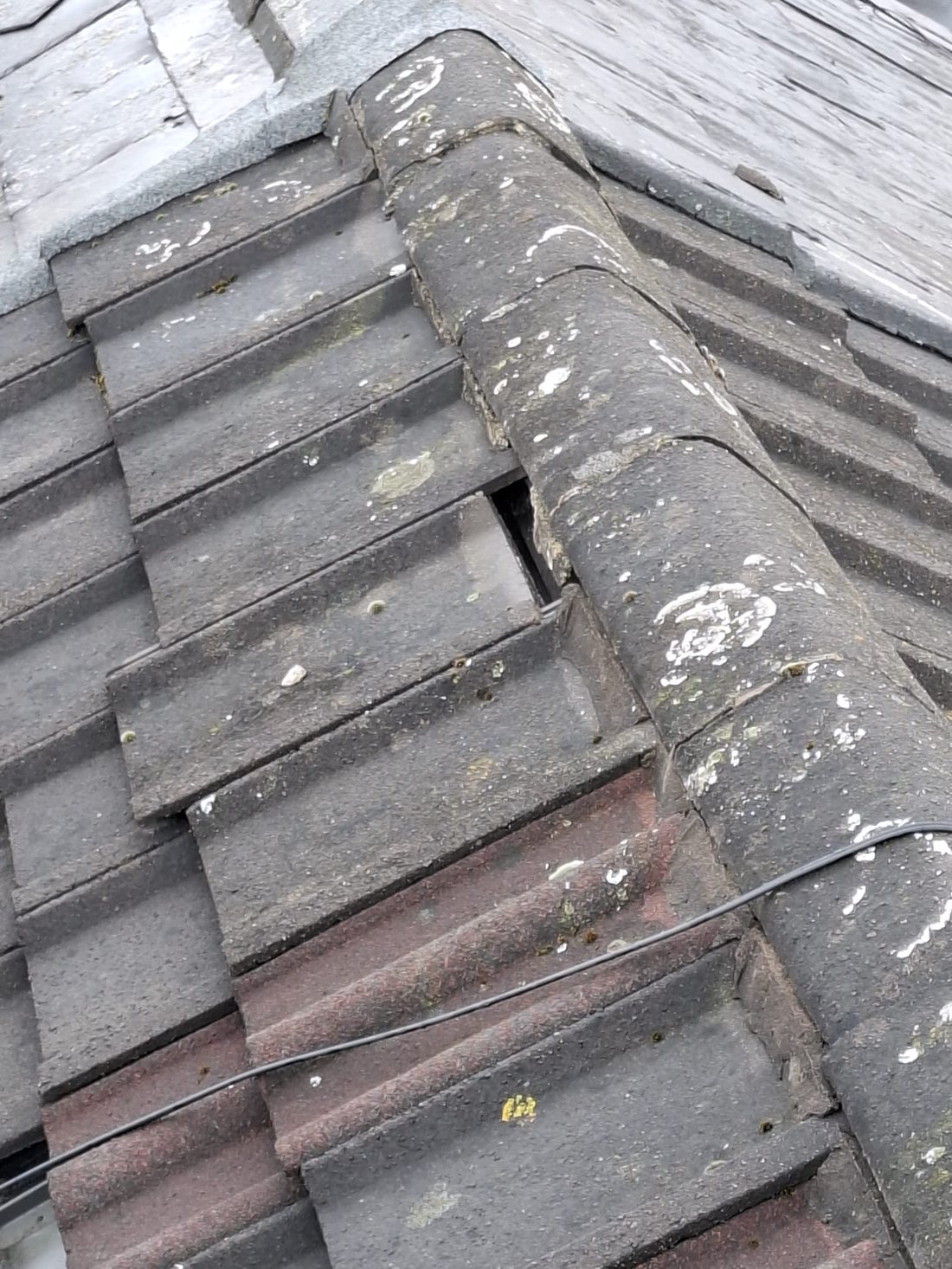 Slipped and fallen tiles &mdash; roof survey, Bootle