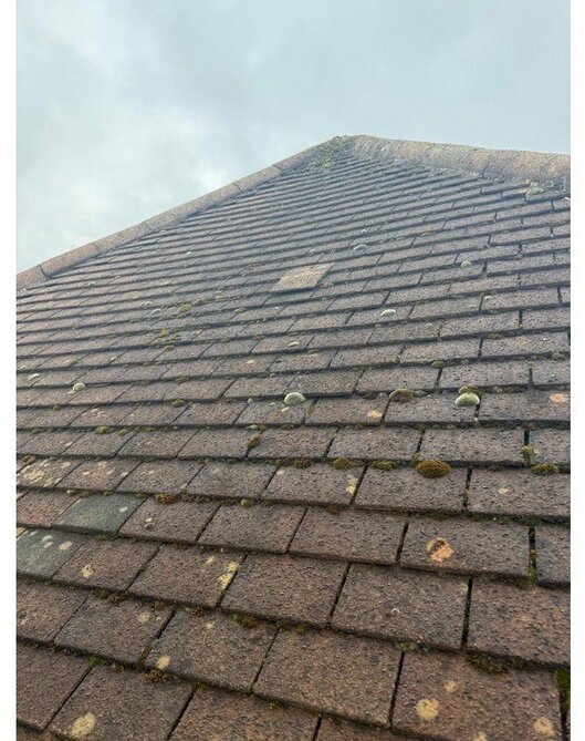 Missing and displaced tiles on the principal roof &mdash; roof survey, Maghull