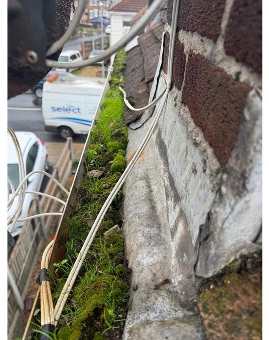 Established vegetation blocking the gutter channel &mdash; roof survey, Maghull