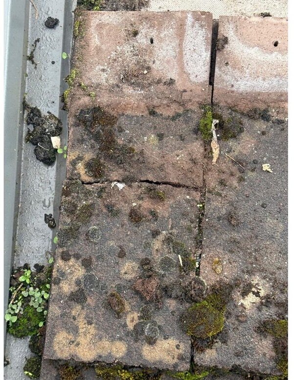 Failed bedding and open joints to the extension ridge tiles &mdash; roof survey, Maghull